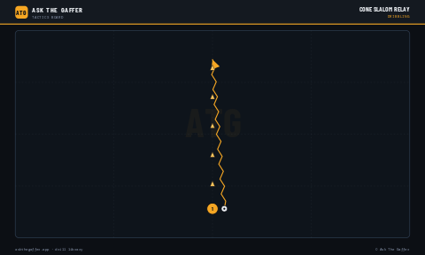 Cone Slalom Relay