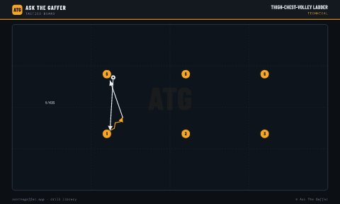 Thigh-Chest-Volley Ladder
